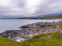 Goose Cove, Nowa Fundlandia
